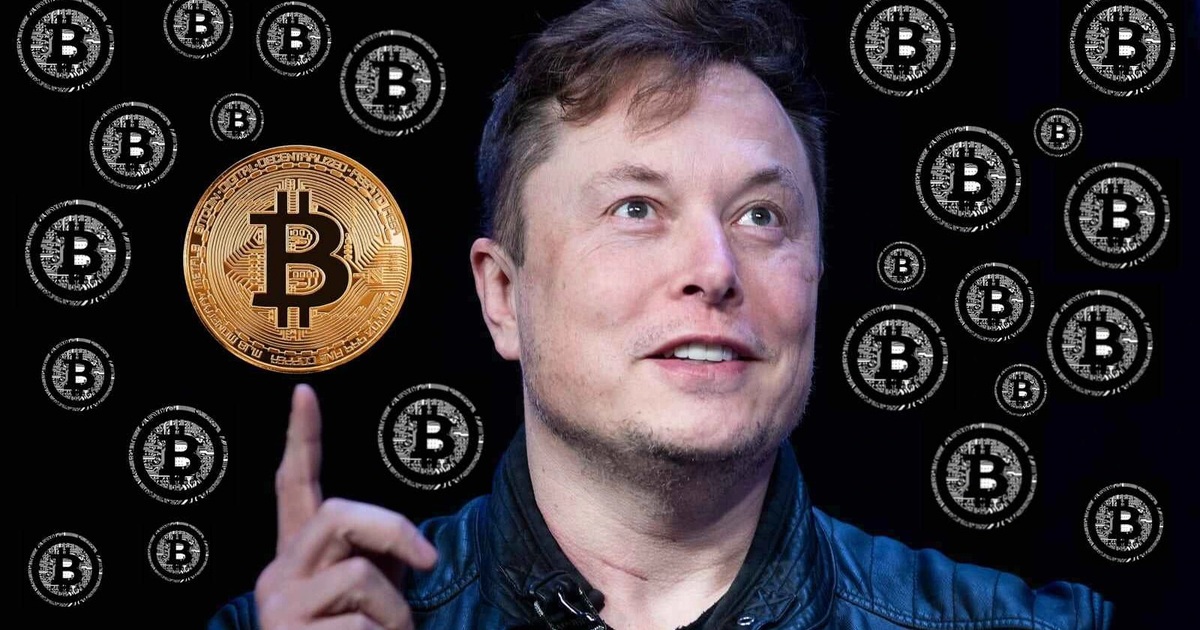 elon-musk-bitcoin-crop-1626938952081.jpeg