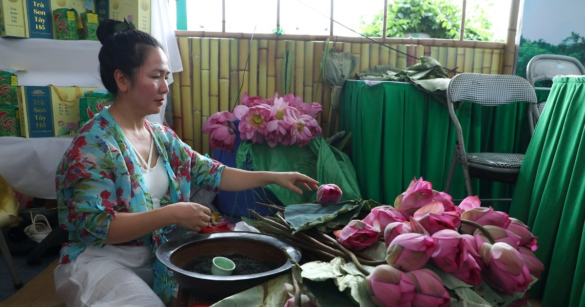 View - Thưởng thức trà sen hảo hạng tại Lễ hội sen Hà Nội | Báo Dân trí