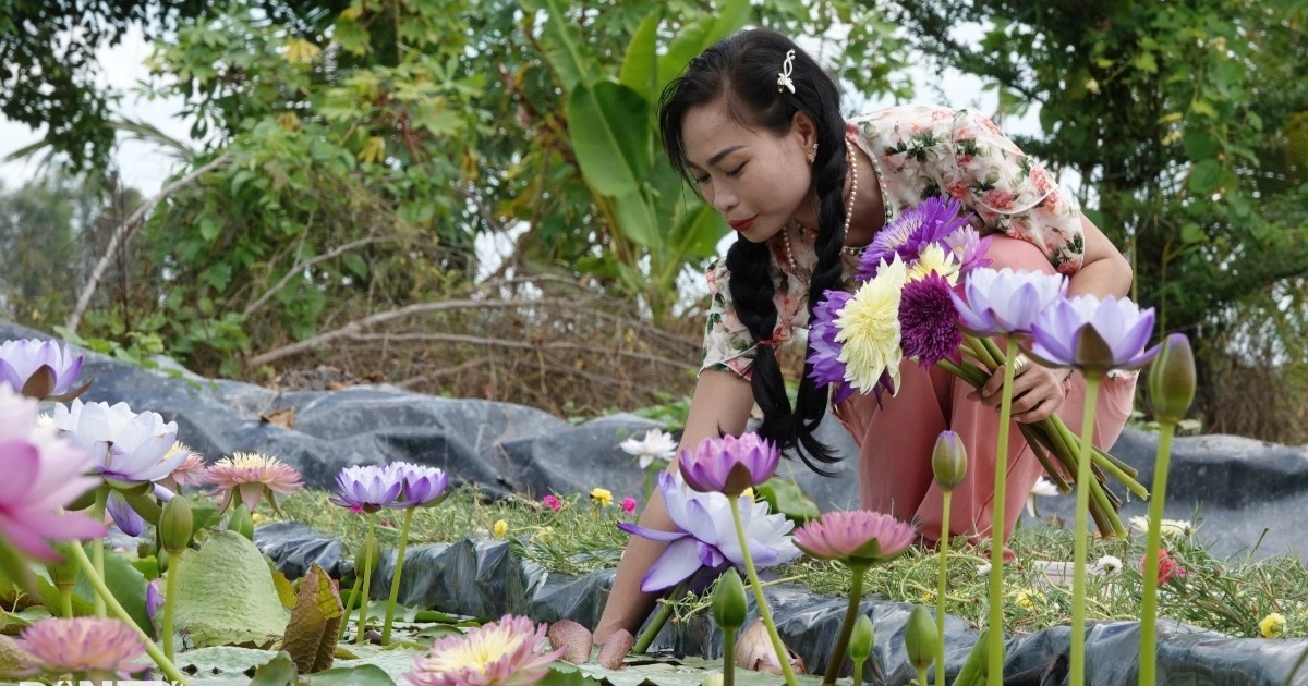 Trồng súng với sầu riêng “lấy ngắn nuôi dài”, 9X lãi 60 triệu đồng/tháng