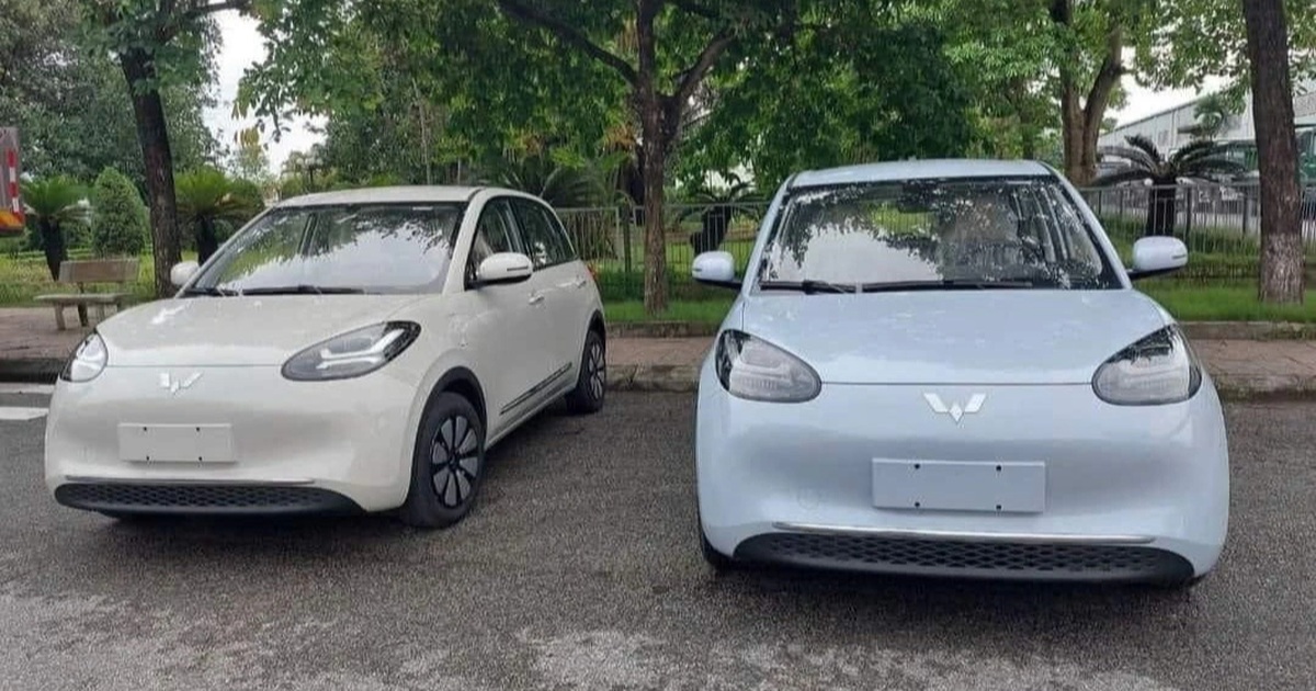 View - Loạt ô tô sẽ ra mắt Việt Nam tháng 7: Thêm lựa chọn giá "mềm", có cả hybrid | Báo Dân trí