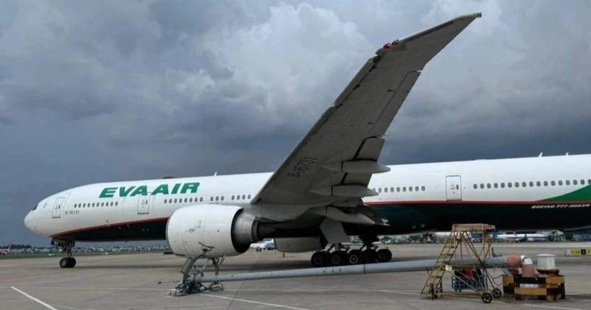 Vụ máy bay Eva Air đâm gãy cột đèn ở Tân Sơn Nhất: 