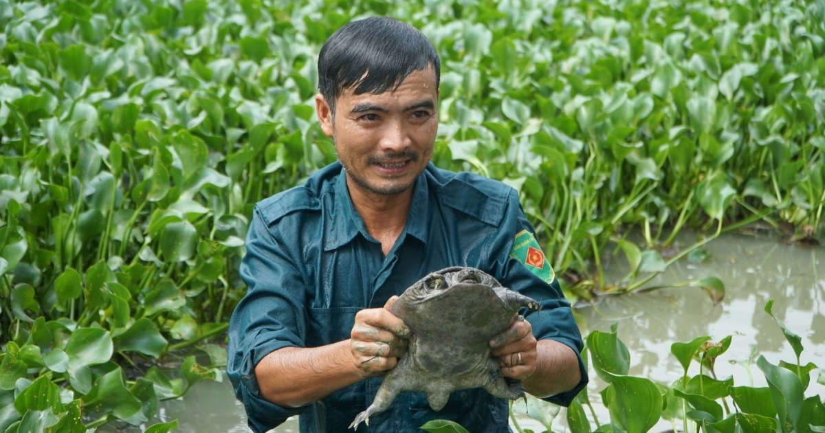 Bỏ nghề hướng dẫn viên về làm nông kiếm gần nửa tỷ đồng mỗi năm