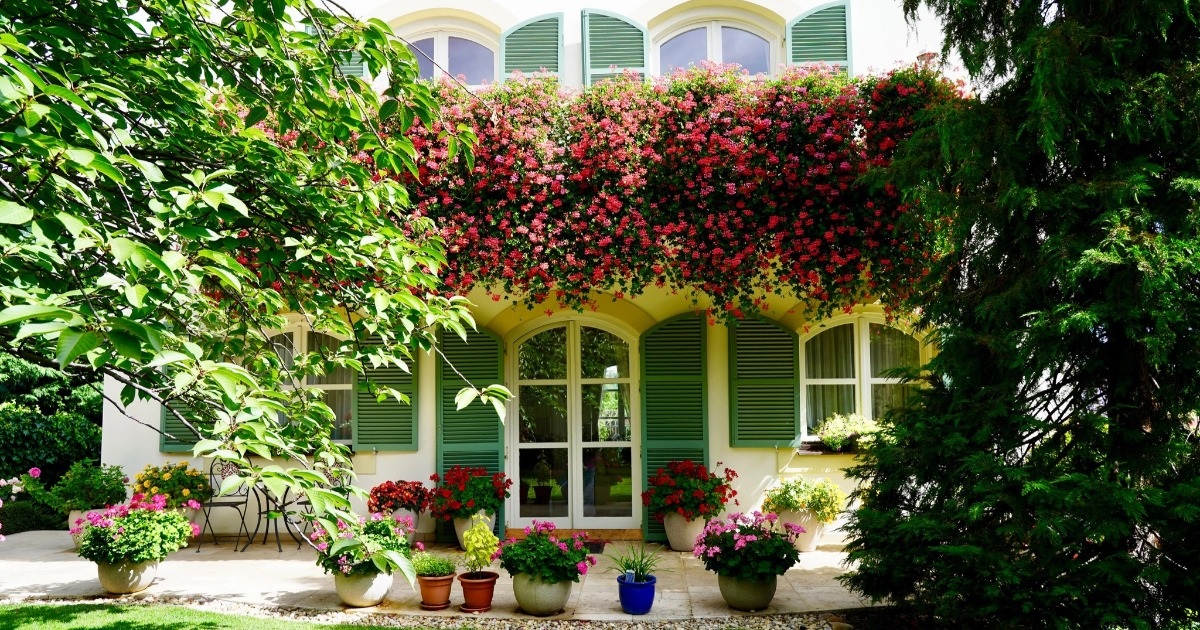 Gallery - Không rời mắt trước "ban công đẹp nhất Hungary" của người phụ nữ Việt | Báo Dân trí